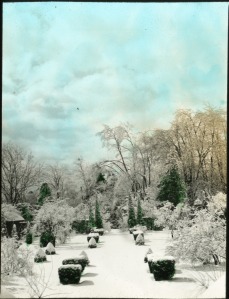 The winter months are the perfect time to take stock of the condition of your garden. Bonaire, West Orange, New Jersey, circa 1930. Ellen Biddle Shipman, landscape architect. Collection of the Archives of American Gardens.