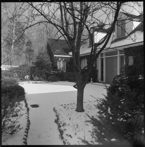 Winston Garden, Far Hills, New Jersey, circa 1965. Collection of the Archives of American Gardens.