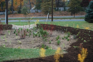 The Rain garden at Grace Episcopal Day School this past fall. 