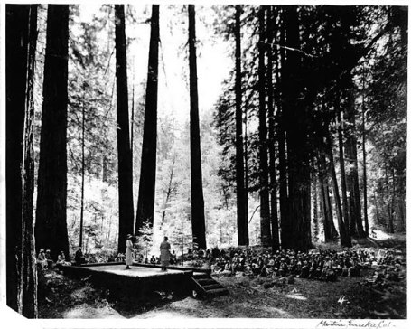 Garden Club of America dedication ceremony of redwoods grove.