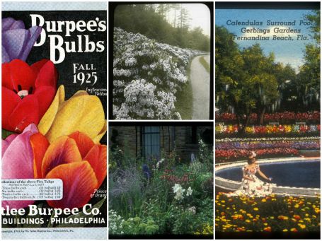 Collage of Archives of American Gardens materials