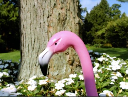 Pink flamingo lawn ornament at Oldgate garden