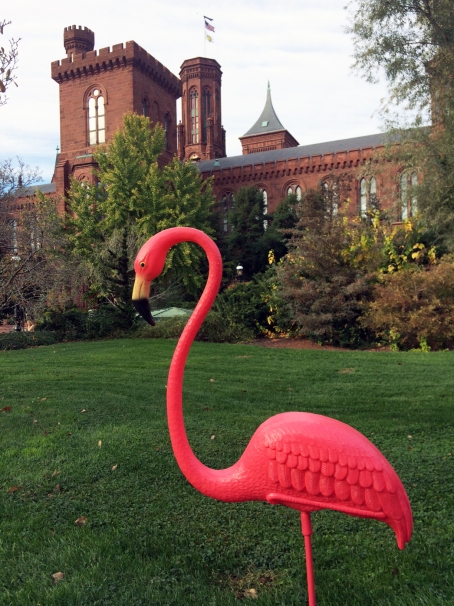 Pink Flamingo at the Smithsonian